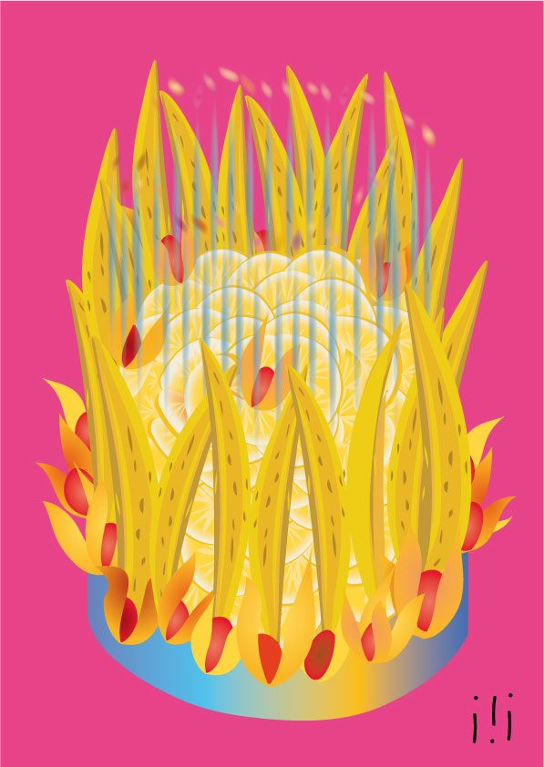 Recette facile agrumes physalis