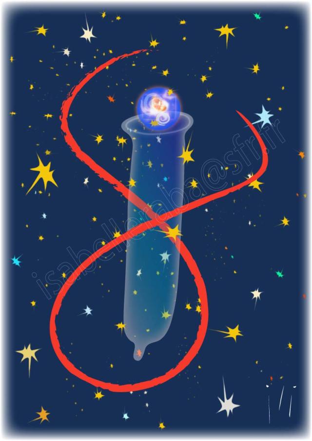 zygoteparisabelleraba