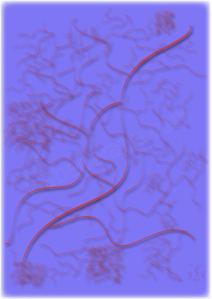 ENIGMA
